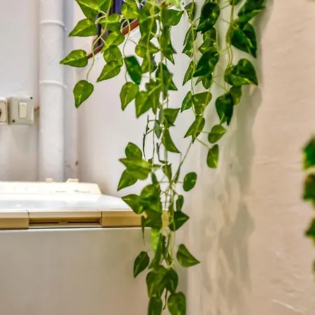 Dove Apartman
