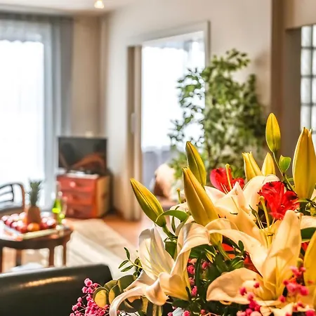 Apartman Dove *